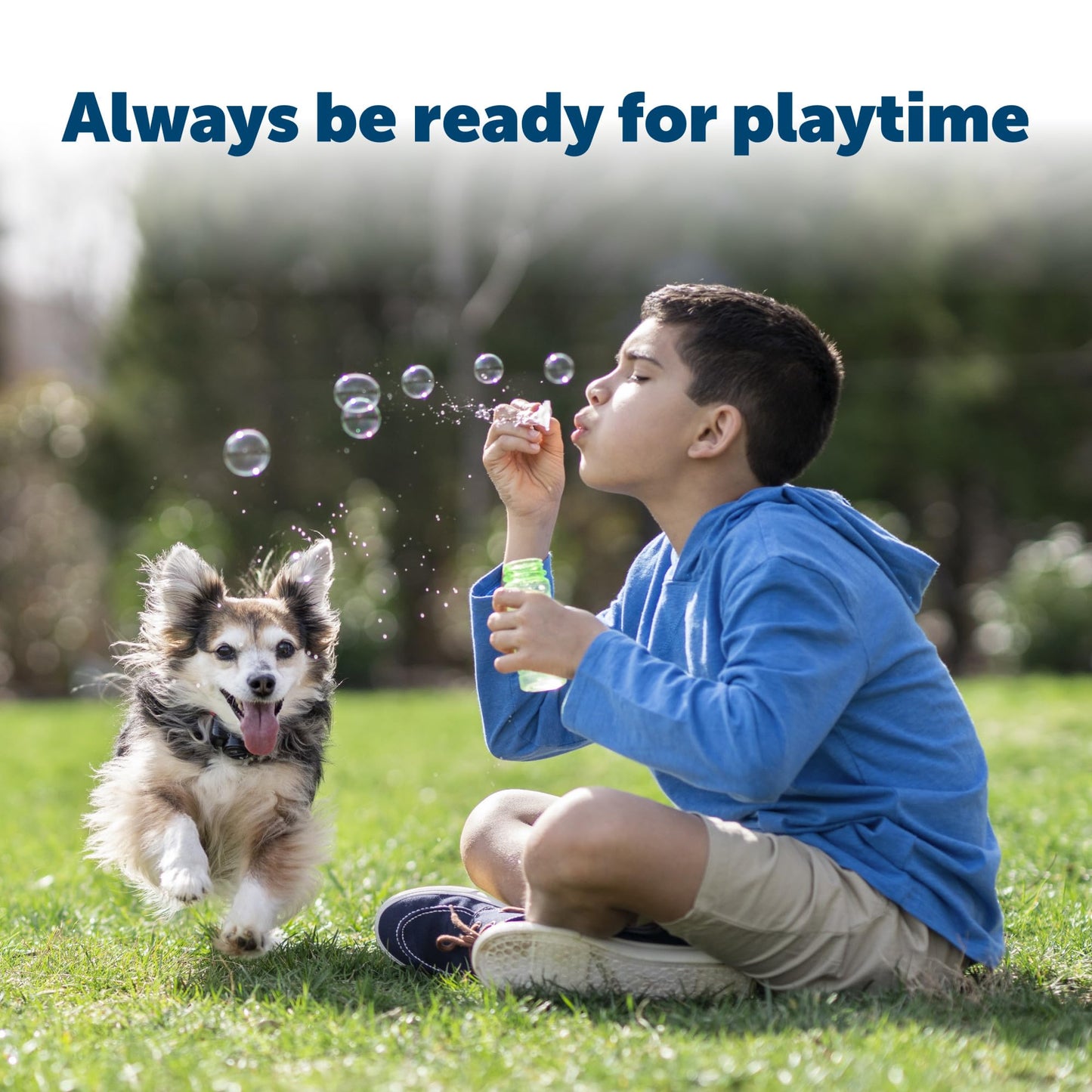 PetSafe Dog Collar Batteries (2 Pack) Dog Collar Battery Waterproof Lithium Metal Product, Rfa-67d-11