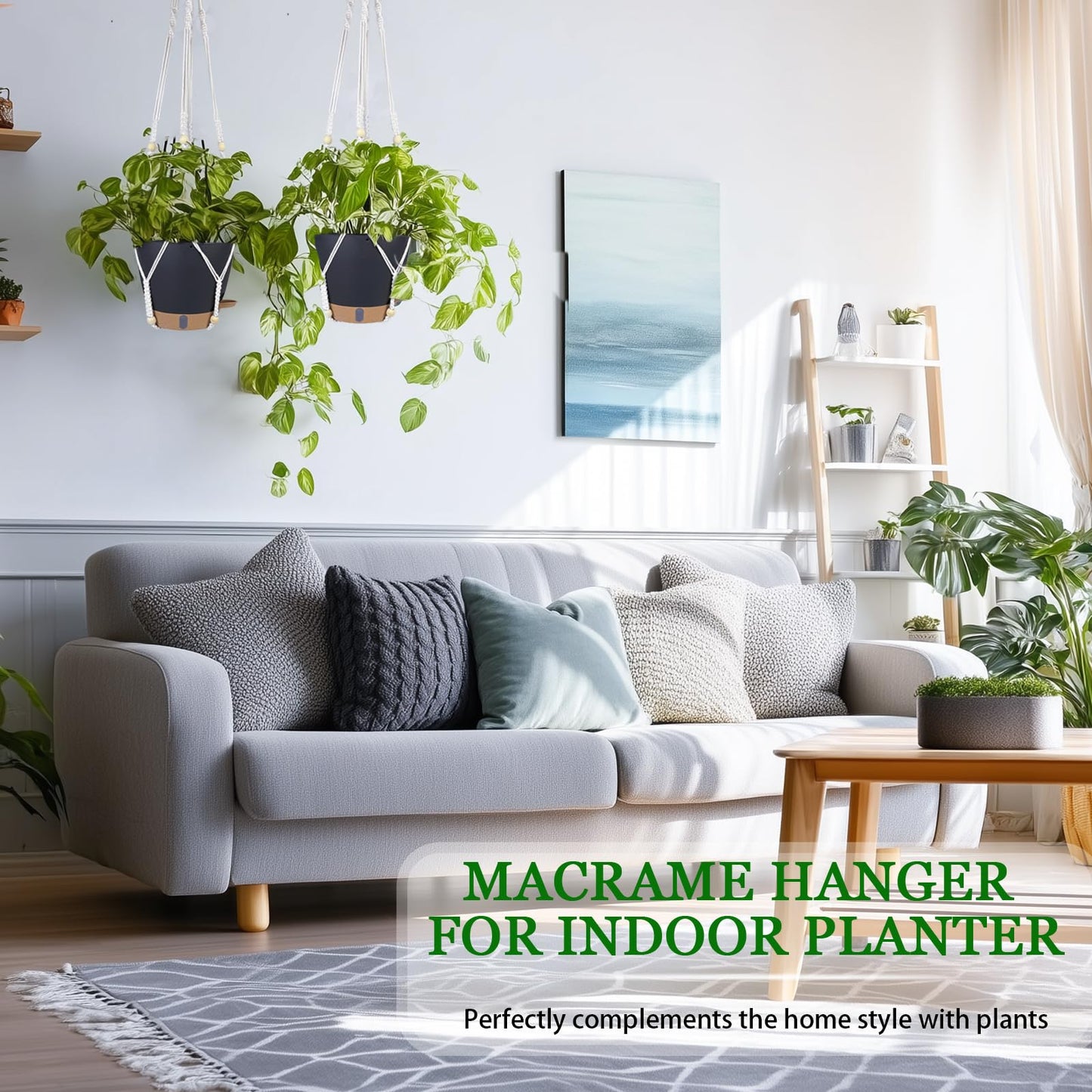 Hanging Planter Self Watering 8 Inch, 2 Pack Hanging Baskets for Plants, Hanging Flower Pots with Drainage Hole & 2 Kinds of Plant Hangers for Garden Home Decor (Black, 8 inch)