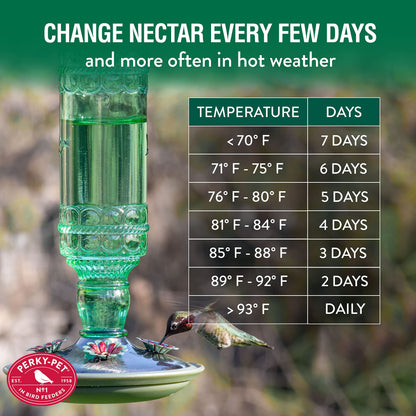 Perky-Pet Glass Hummingbird Feeders for Outdoors - Antique Bottle Style Bird Feeder - 10 Oz Humming Bird Feeders for Outdoor Garden Decor