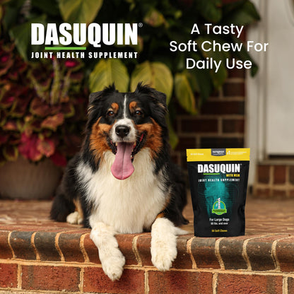 Nutramax Laboratories Dasuquin with MSM Soft Chews Large Dog 84 Count, brown