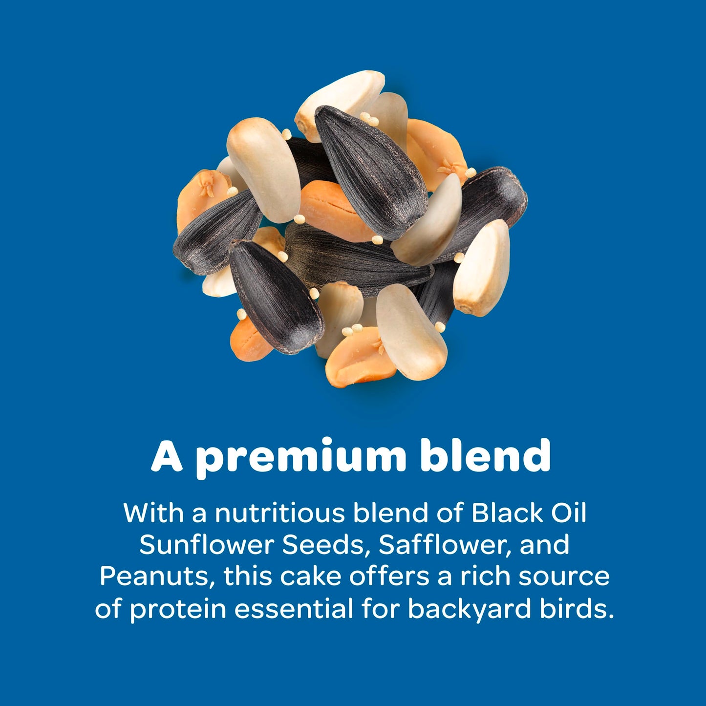 Kaytee Wild Bird Gourmet Seed Cake For Cardinals, Chickadees, Juncos, Titmice, Woodpeckers and More, 2 Pounds