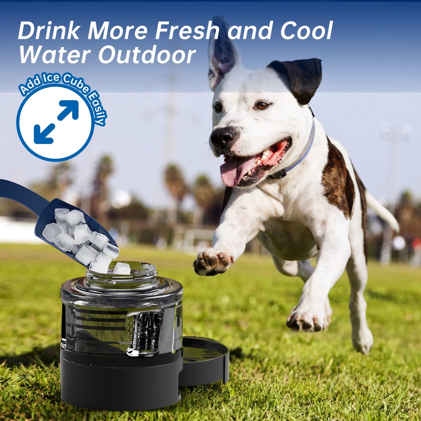 Portable Dog Water Bottle, 54oz Large Travel Water Bowl Dispenser for Dogs Camping Beach Walking Essentials, Big Portable Travel Water Bowl and Beach Accessories for Dogs，, Bpa Free, Safe and Durable