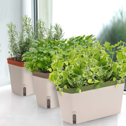 Amazing Creation Window Herb Planter Box, Vibrant Window Herb Garden, Self-Watering Rectangular Planter for Kitchen, Plants, and Succulents - Set of 3