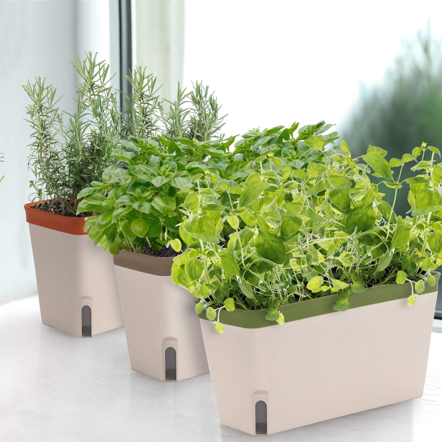 Amazing Creation Window Herb Planter Box, Vibrant Window Herb Garden, Self-Watering Rectangular Planter for Kitchen, Plants, and Succulents - Set of 3