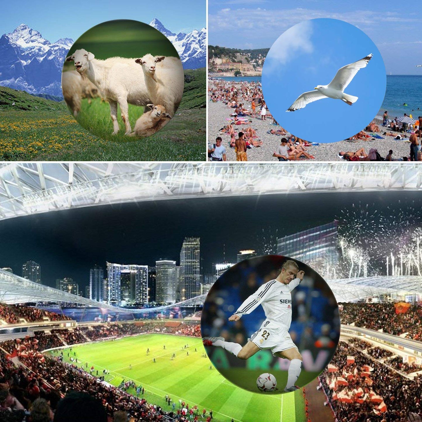 Occer 10X42 High Power Monocular Telescope HD Dual Focus Scope, Compact Monocular with Bak4 Multi-Coated Zoom Lens, Low Night Vision for Hunting Bird Watching Camping Outdoor Sporting