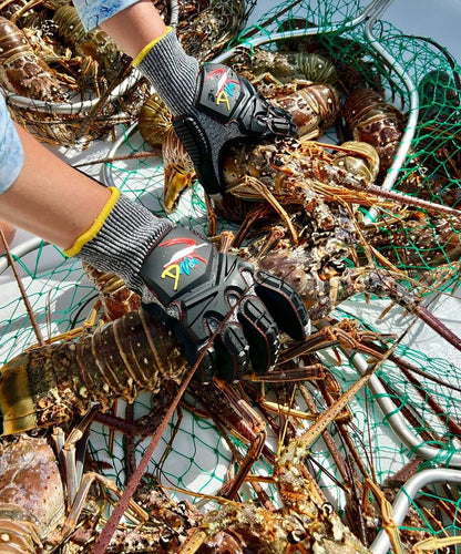 Lobster Gloves for Diving Kevlar Spearfishing Dive Glove Puncture Resistant (Medium)