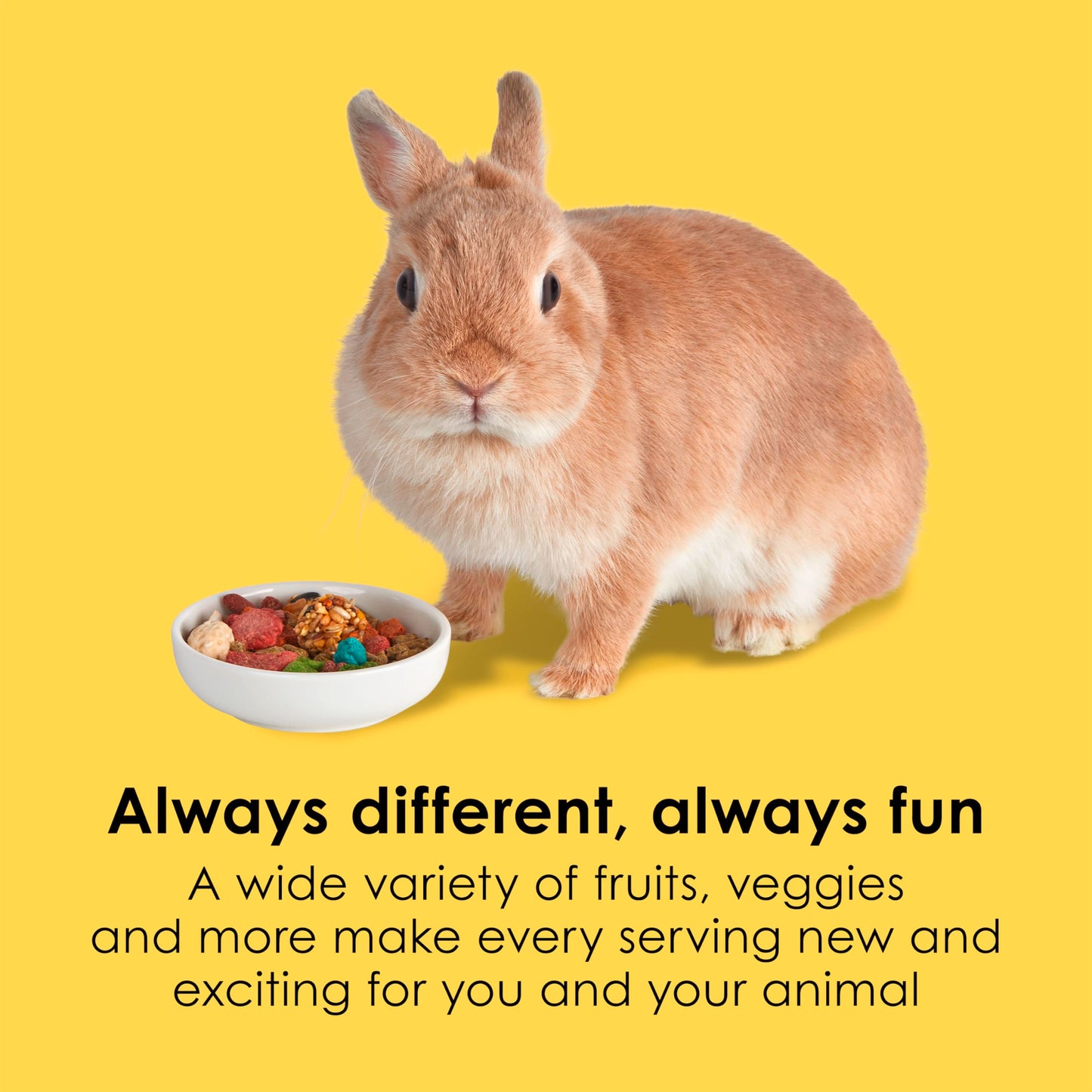 Kaytee Fiesta Rabbit Food, Nutritious and Fun Blend, Supports Dental Health and Digestion, 20 pounds