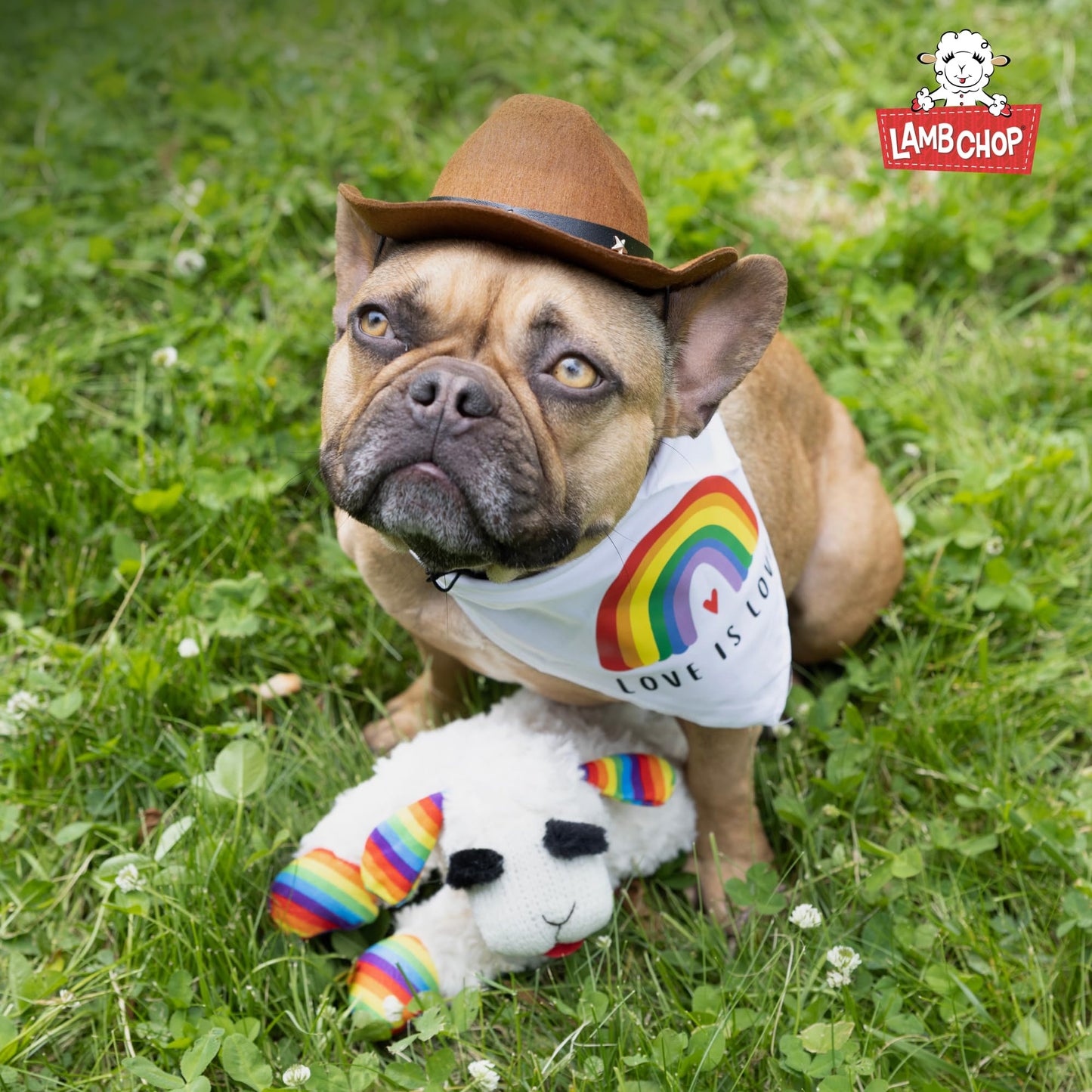 Multipet Lamb Chop Dog Plush Toy - Squeaky Dog Toy for Small & Medium Dogs - Extra Soft Plush Dog Toy - Stuffed Animal Dog Toy for Cuddling & Playing - Cute Pet Toy (10", Cream, 5 Squeakers)