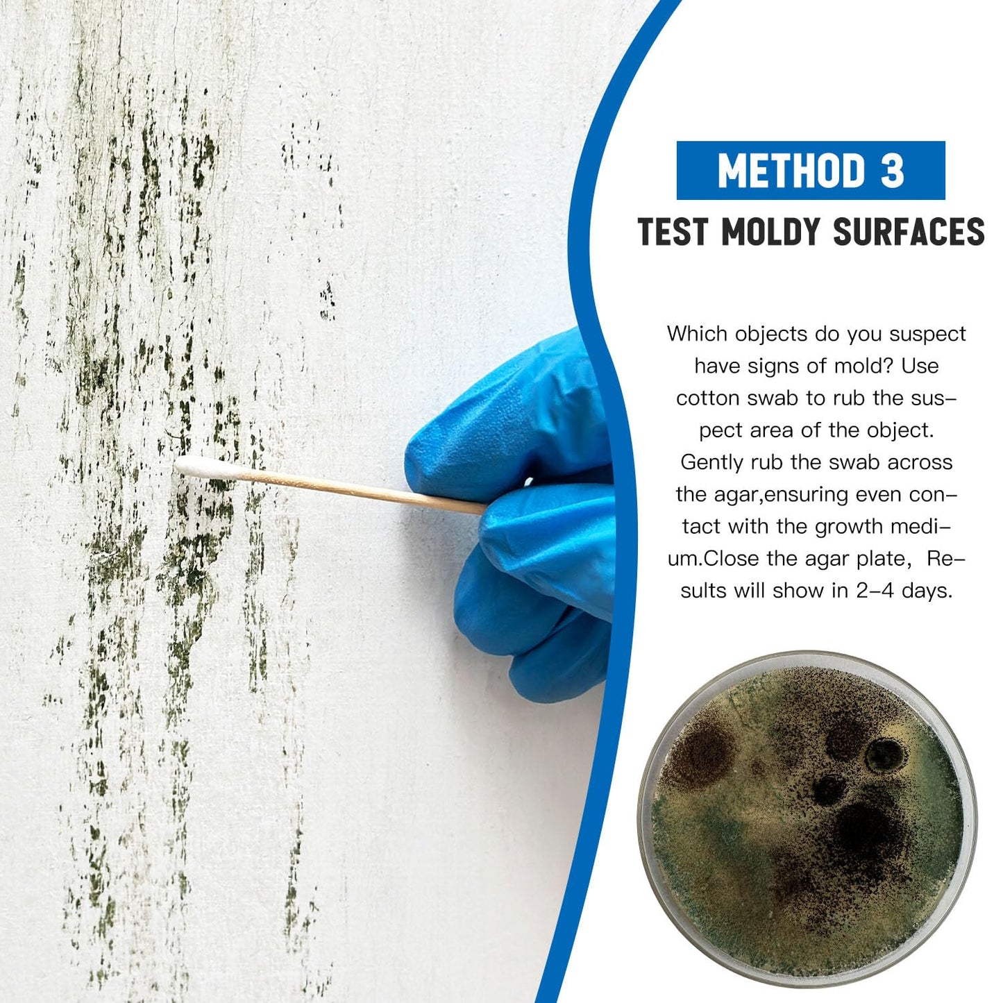 Mold Test Kit for Home -DIY Mold Testing Kit with 6 Individual Tests-Black Mold Detector-Indoor Air Quality Tester-Mold Identification Guide-Free Lab Analysis-Fast and Reliable Mold Detector at Home
