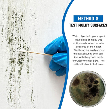 Mold Test Kit for Home -DIY Mold Testing Kit with 6 Individual Tests-Black Mold Detector-Indoor Air Quality Tester-Mold Identification Guide-Free Lab Analysis-Fast and Reliable Mold Detector at Home