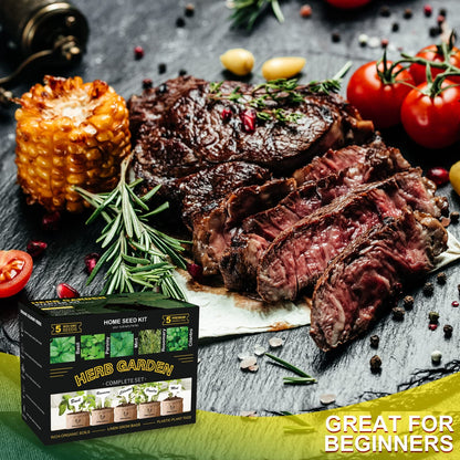 Meekear Indoor Herb Garden Starter Kit, 5 Non-GMO Herb Seeds - Basil, Parsley, Rosemary, Thyme, and Mint with Complete Planting Set for Kitchen Herb Garden DIY