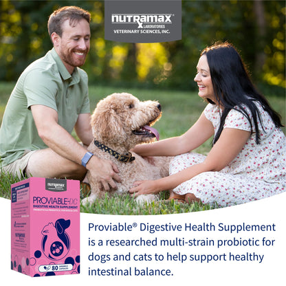 Nutramax Proviable Probiotics for Dogs and Cats, Daily Digestive Health Supplement with Multiple Strains of Bacteria, Cat and Dog Probiotics Plus Prebiotics, 80 Capsules