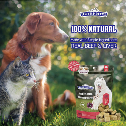 NutriBites Freeze Dried Beef Recipe Dog & Cat Treats, 4oz | Healthy Pet Training Treats or Food Topper | All Natural, Single Ingredient, High Protein | Great for Puppy, Small, Medium, or Large Breeds