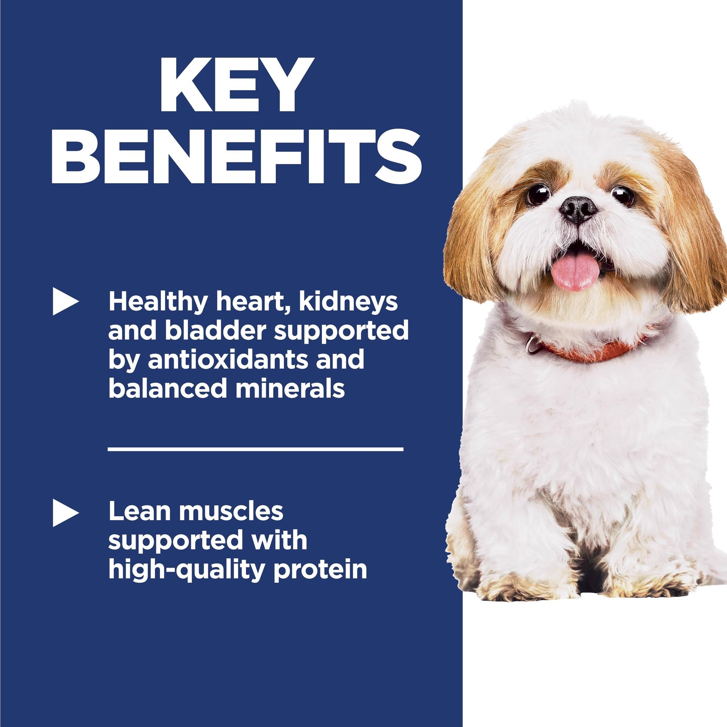 Hill's Science Diet Adult 7+, Senior Adult 7+ Premium Nutrition, Small Kibble, Dry Dog Food, Chicken, Brown Rice, & Barley, 33 lb Bag