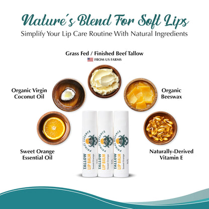 Moisturizing Tallow Lip Balm – Grass-Fed Beef Tallow with Organic Coconut Oil, Beeswax, and Vitamin E – Sweet Orange – Lip Balm Set – Travel Essential – 3-Pack