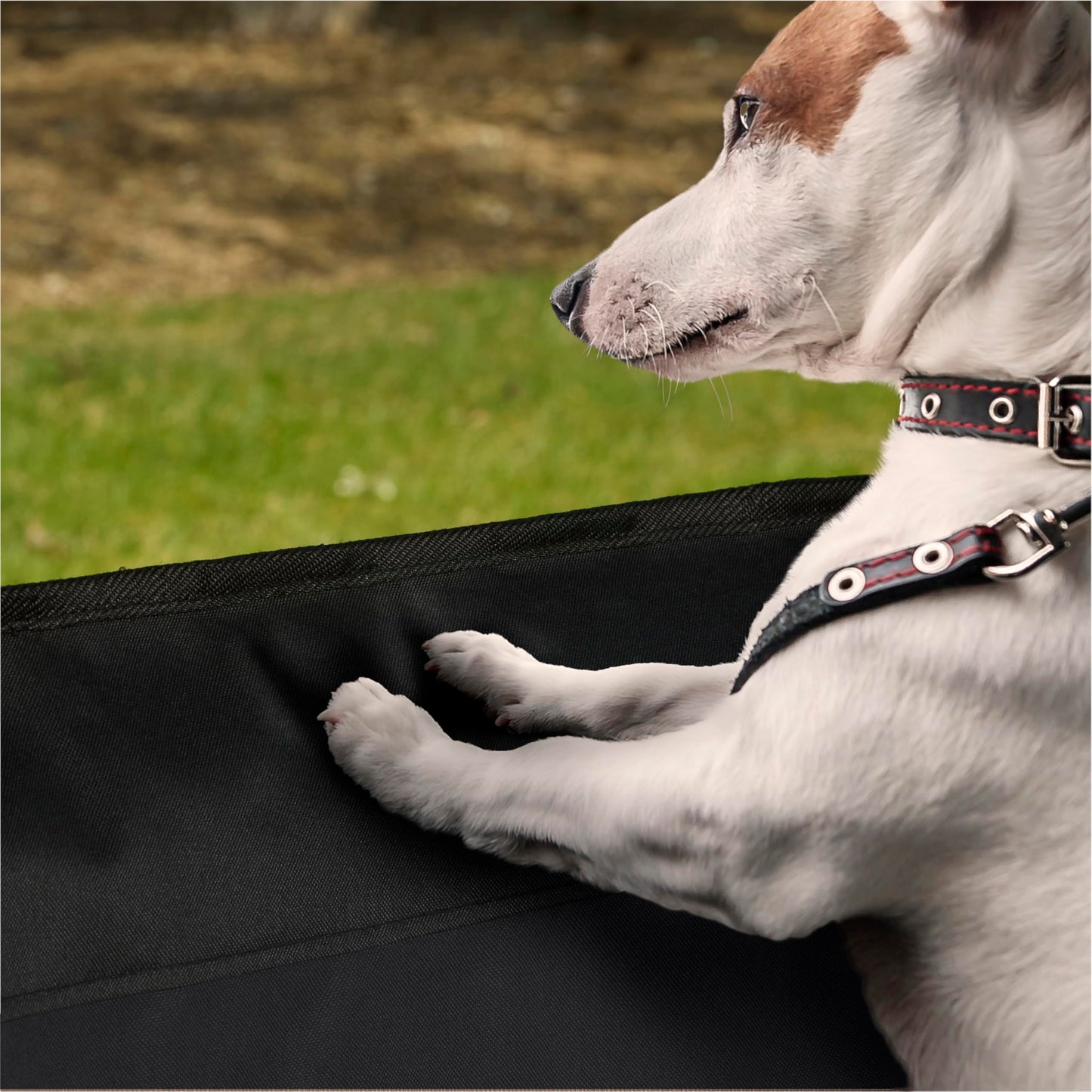 K&H Pet Products Car Door Protector for Dogs, 2 Pack Waterproof Interior Pet Car Door Protector from Dog Scratching, Stay Put Cover Design, Fits Most Vehicles, Washable - 27 x 19in Black