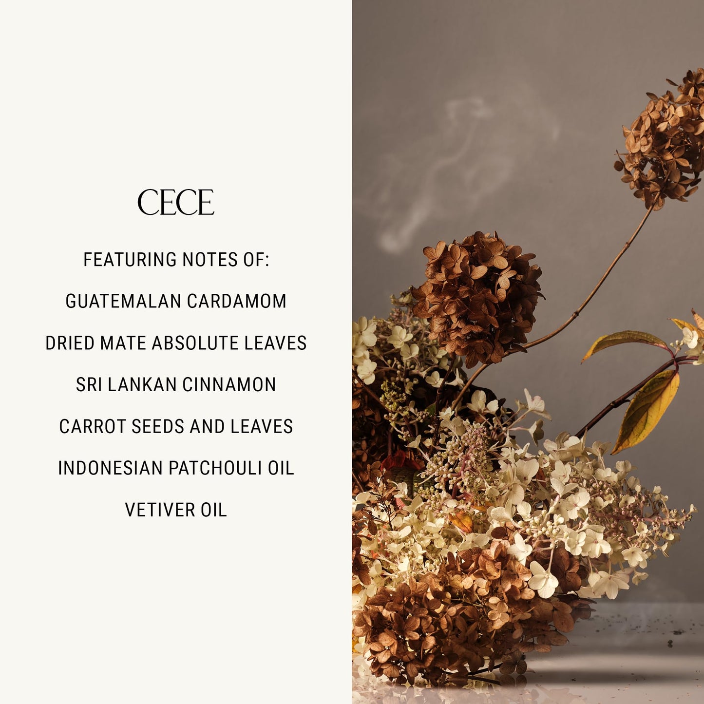 Homecourt Dish Soap, Dishwashing Liquid with Clean Ingredients, Non-Toxic & Skin-Safe, Safe for People & Pets, Cece, 16 oz