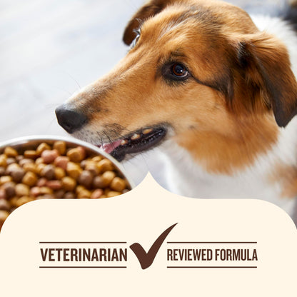 Nutrish Real Beef & Pumpkin Recipe Whole Health Blend Premium Paté Wet Dog Food, 13 oz. Can, 12 Count, Packaging May Vary (Rachael Ray)