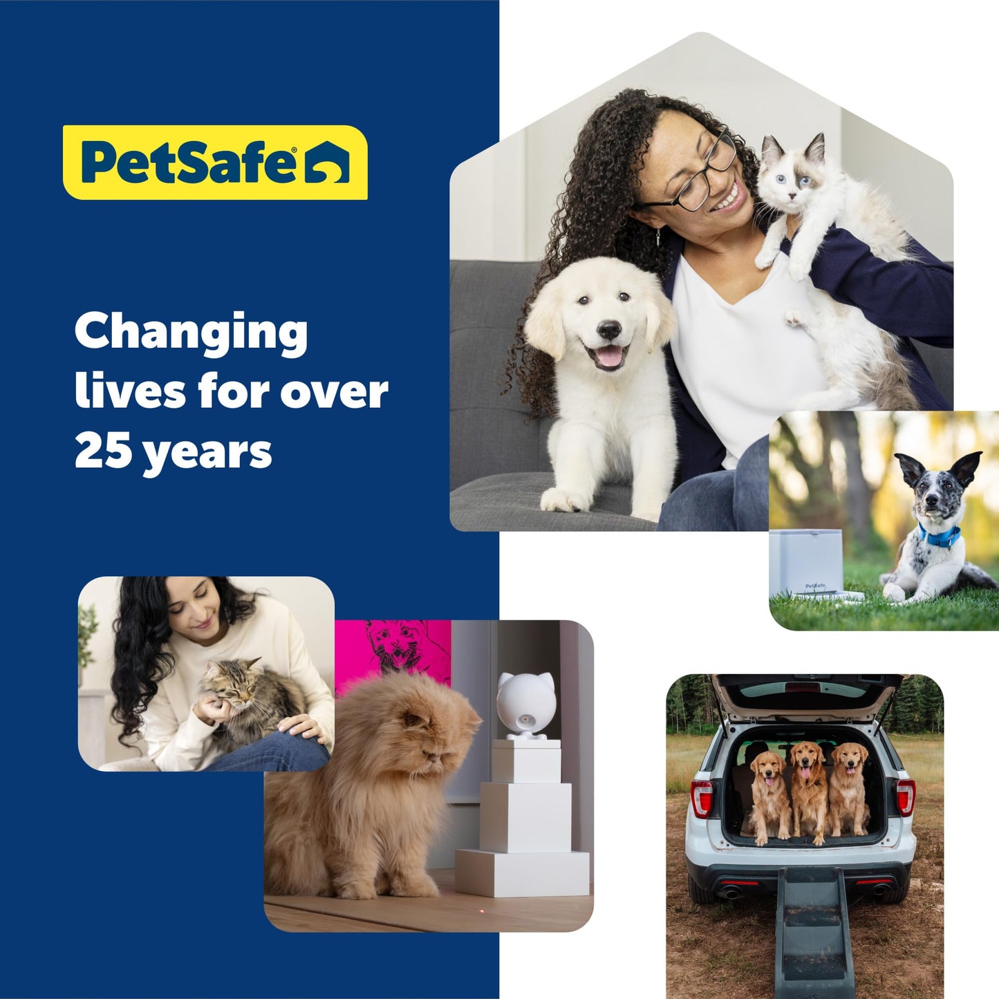 PetSafe Add-A-Dog Remote Training Collar – Perfect for Small, Medium and Large Dogs – Choose from Tone, Vibration, or 15 Levels of Static Stimulation – Waterproof and Durable – Rechargeable