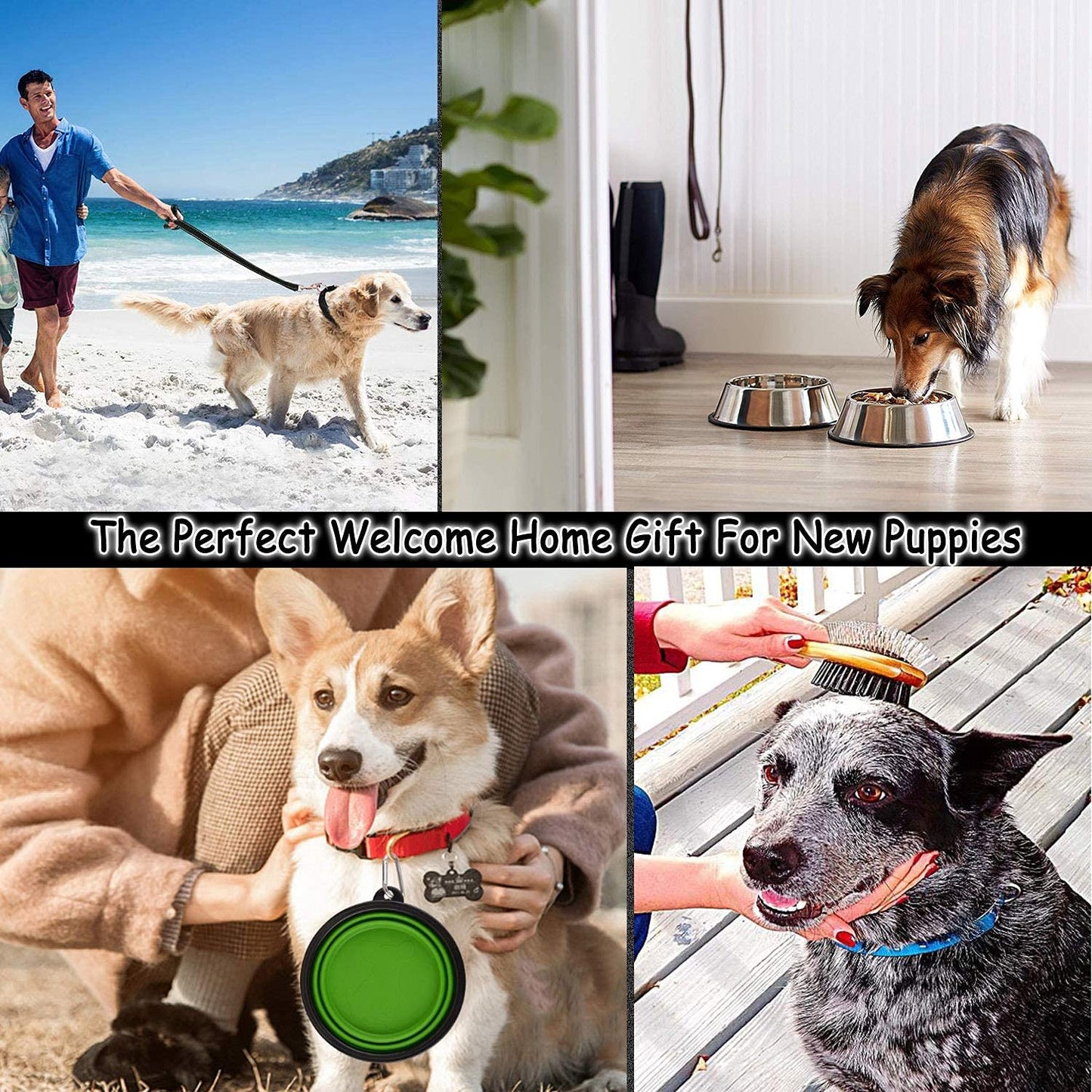 Lobeve Puppy Supplies Starter Kit - 39-Piece Set of Puppy Essentials and Dog Stuff. Includes Dog Leash, Toys, Bowl, Brushes, Water Bottles,and More. Perfect Welcome Home Gift for Your New Puppies