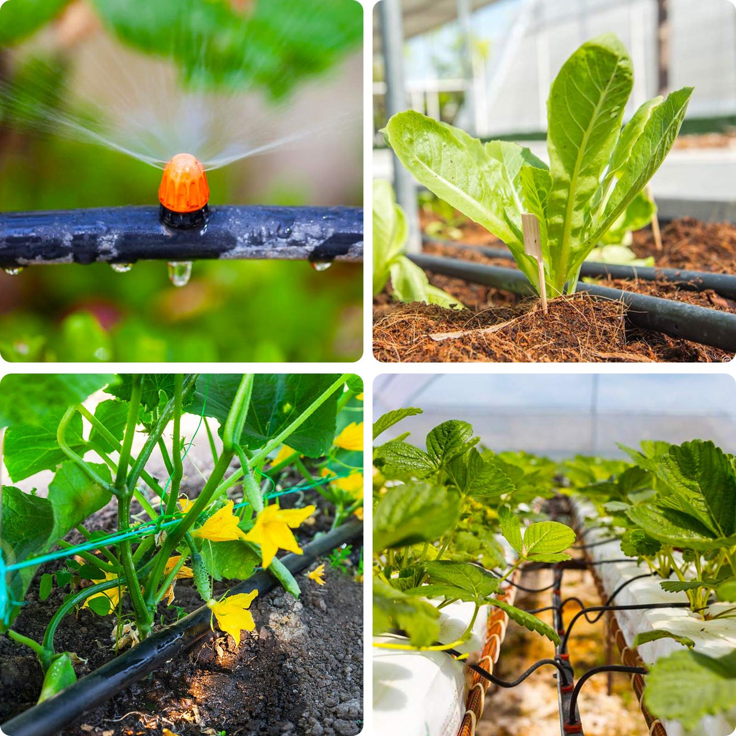 JAYEE 24P Drip Irrigation Fittings Kit for 1/2" Tubing (.600 ID), 17mm Parts- 6 Tees, 6 Couplings, 6 Elbows,6 End Cap Plugs- Barded Connectors for Rain Bird Pipe and Sprinkler Systems (24 Pieces Set)