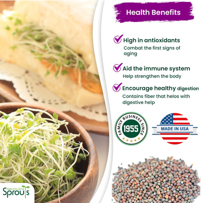 Nature Jims Sprouts Broccoli Sprout Seeds - Certified Organic for Indoor/Outdoor Use - Rich in Sulforaphane Healthy, Nutritious Broccoli Seeds Sprout in 5 Days - 8oz