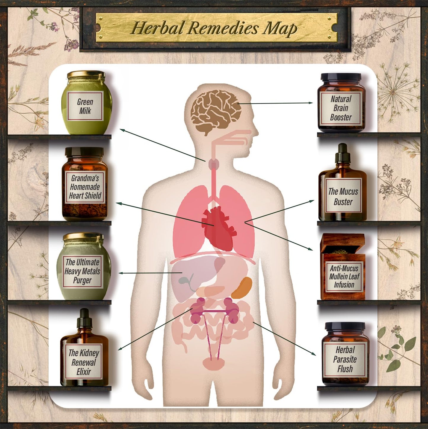 Forgotten Home Apothecary : 250 Powerful Remedies at Your Fingertips