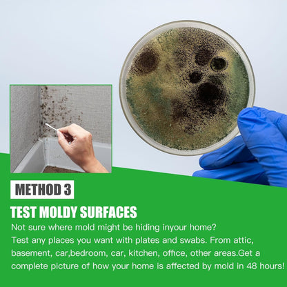 Mold Test Kit for Home Within 6 Individual Tests,DIY Detector at Home,Surface Mold,HVAC,Indoor Air Quality Testing Kits,Black Mold Testing,Includes Detailed Mold Identification Guide and Free Lab