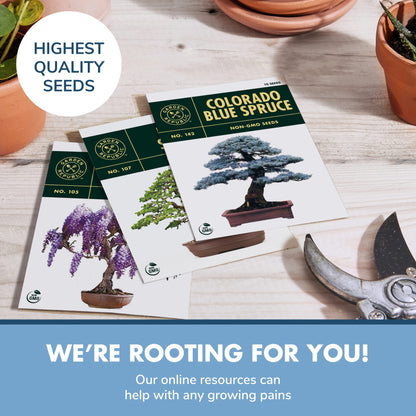 Garden Republic Bonsai Tree Kit - Grow 3 Mini Bonsai Trees, Indoor Plant Growing - Starter Kit with Seeds, Soil, Planters & Shears, Gardening Gifts for Women, Fathers Day Gardening Gifts