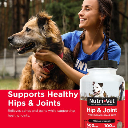 Nutri-Vet Hip & Joint Regular Strength Chewable Dog Supplements, Formulated with Glucosamine Chondroitin, Pet Supplies, Joint Supplement for Dogs, Puppy Essentials, 120 Count