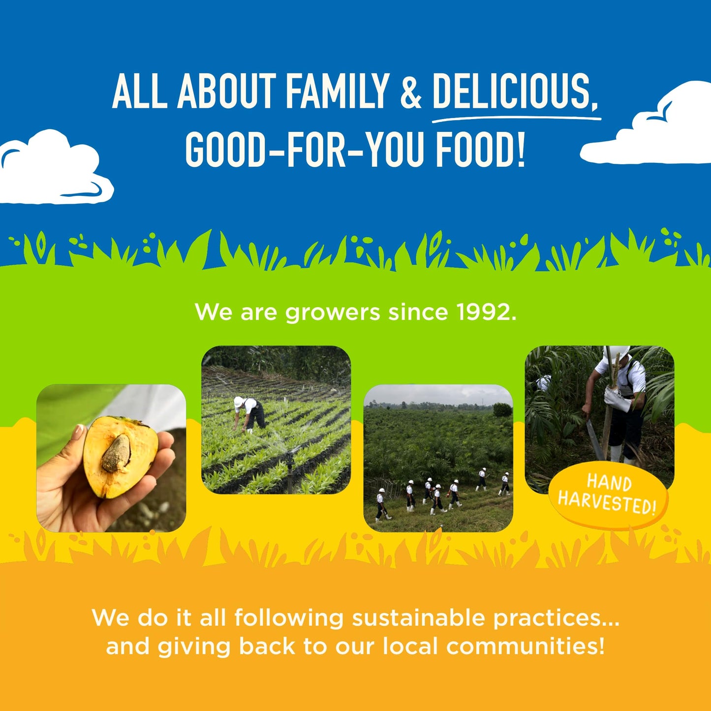 Natural Heaven Angel Hair Pasta, Hearts of Palm – Naturally Rich in Potassium, Low-Calorie Veggie Noodles, Keto & Gluten-Free Food, Vegan, 9 Oz EaNatural Heaven Angel Hair Pasta, Hearts of Palm – Naturally Rich in Potassium, Low-Calorie Veggie Noodles, Ke