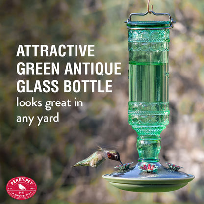 Perky-Pet Glass Hummingbird Feeders for Outdoors - Antique Bottle Style Bird Feeder - 10 Oz Humming Bird Feeders for Outdoor Garden Decor