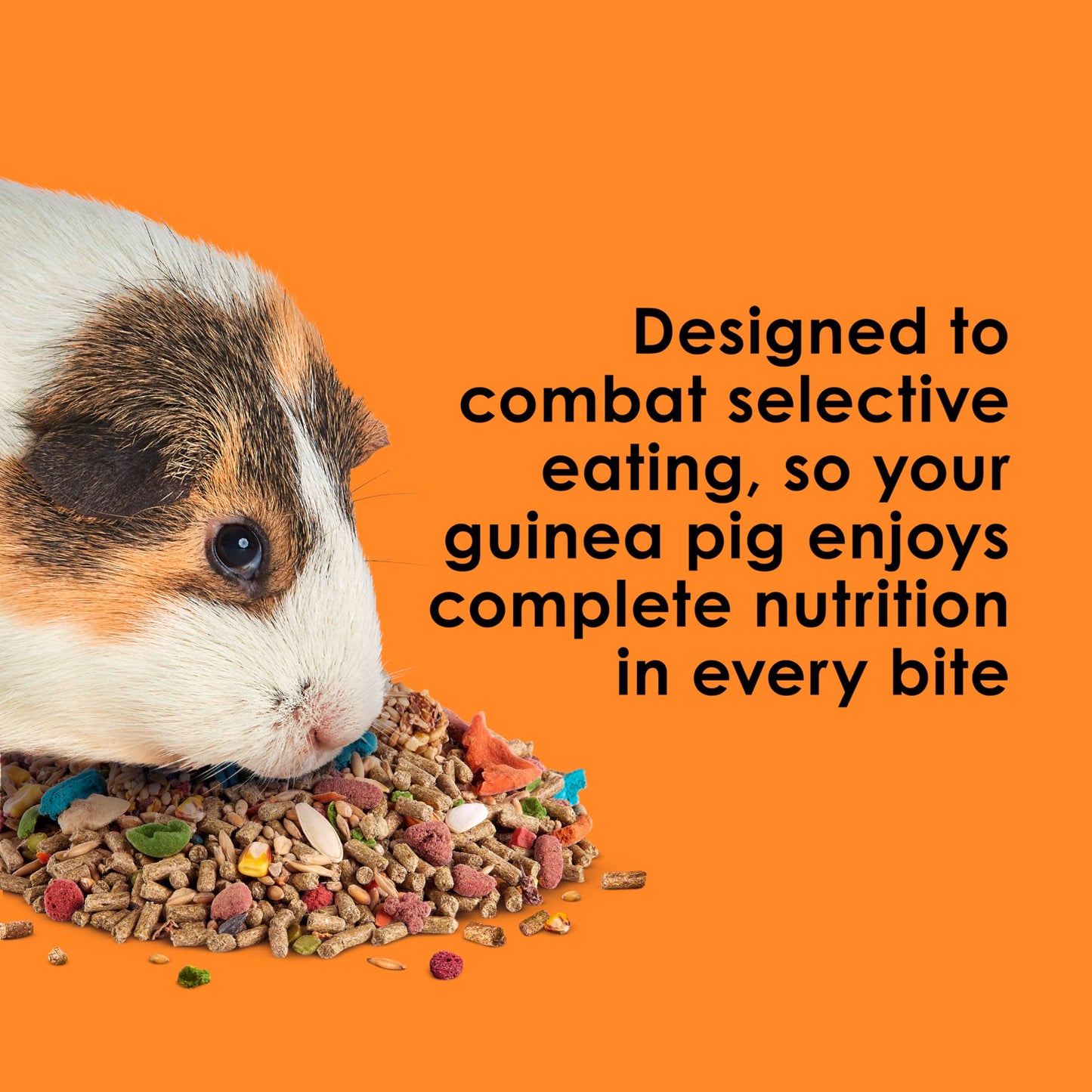 Kaytee Fiesta Guinea Pig Food, Nutritious and Fun Blend, Supports Dental Health and Digestion, 4.5 pounds