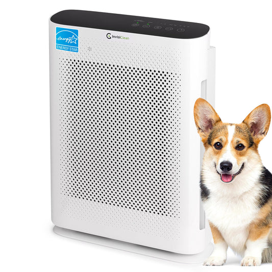 Air Purifier for Home Allergies & Pets | 4-in-1 H13 True HEPA Filter/Ionizer/Carbon + UV Light | Portable Air Purifiers for Large Room & Bedroom Odor Elimination - InvisiClean Aura II