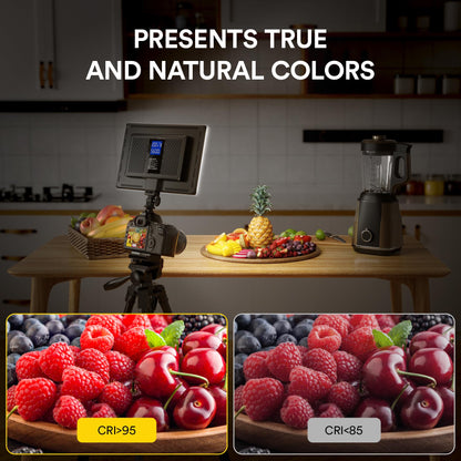 RALENO 19.5W LED Video Soft Light Panel, 650Lux/m Camera Panel Light Built-in 2* 4000mAh Batteries, CRI>95 3200-5600K Photography Studio Lights for TikTok YouTube Video Recording Photography Streaming