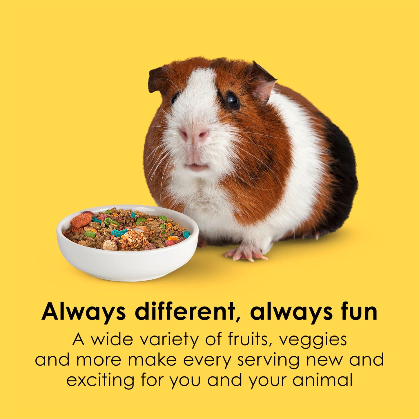 Kaytee Fiesta Guinea Pig Food, Nutritious and Fun Blend, Supports Dental Health and Digestion, 4.5 pounds