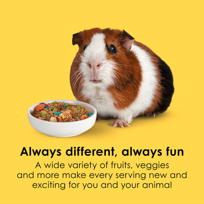Kaytee Fiesta Guinea Pig Food, Nutritious and Fun Blend, Supports Dental Health and Digestion, 4.5 pounds
