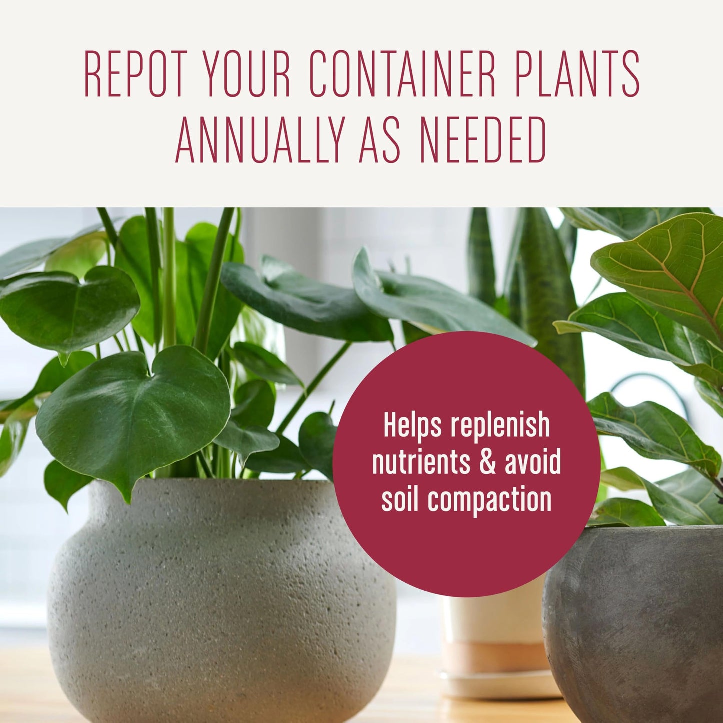 Miracle-Gro Houseplant Potting Mix: Fertilized, Perlite Soil for Indoor Gardening, Designed to Be Less Prone to Gnats, 4 qt.