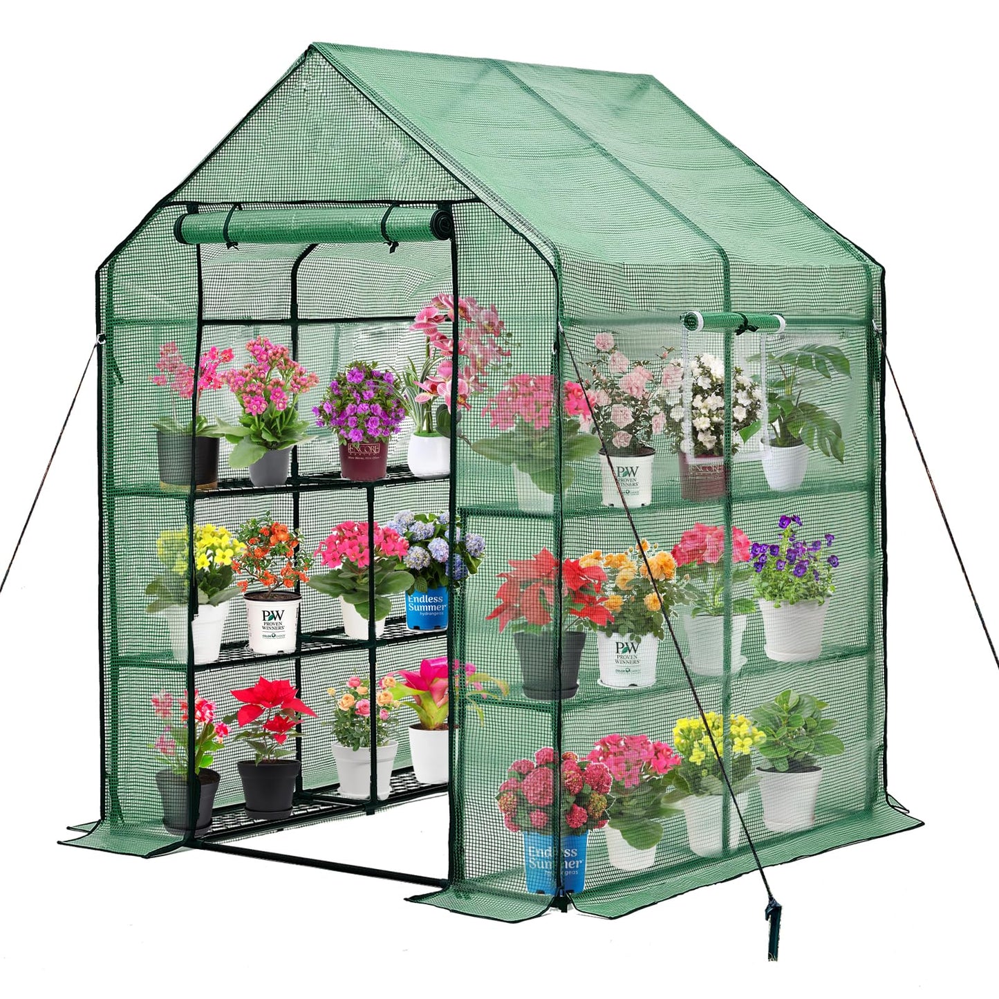 Purlyu Walk-in Greenhouse for Outdoors, Thickened PE Cover & Heavy Duty Powder-Coated Steel, Mesh Door & Screen Windows, 14 Sturdy Shelves 4.7x4.7x6.4 FT, (GHW002G)