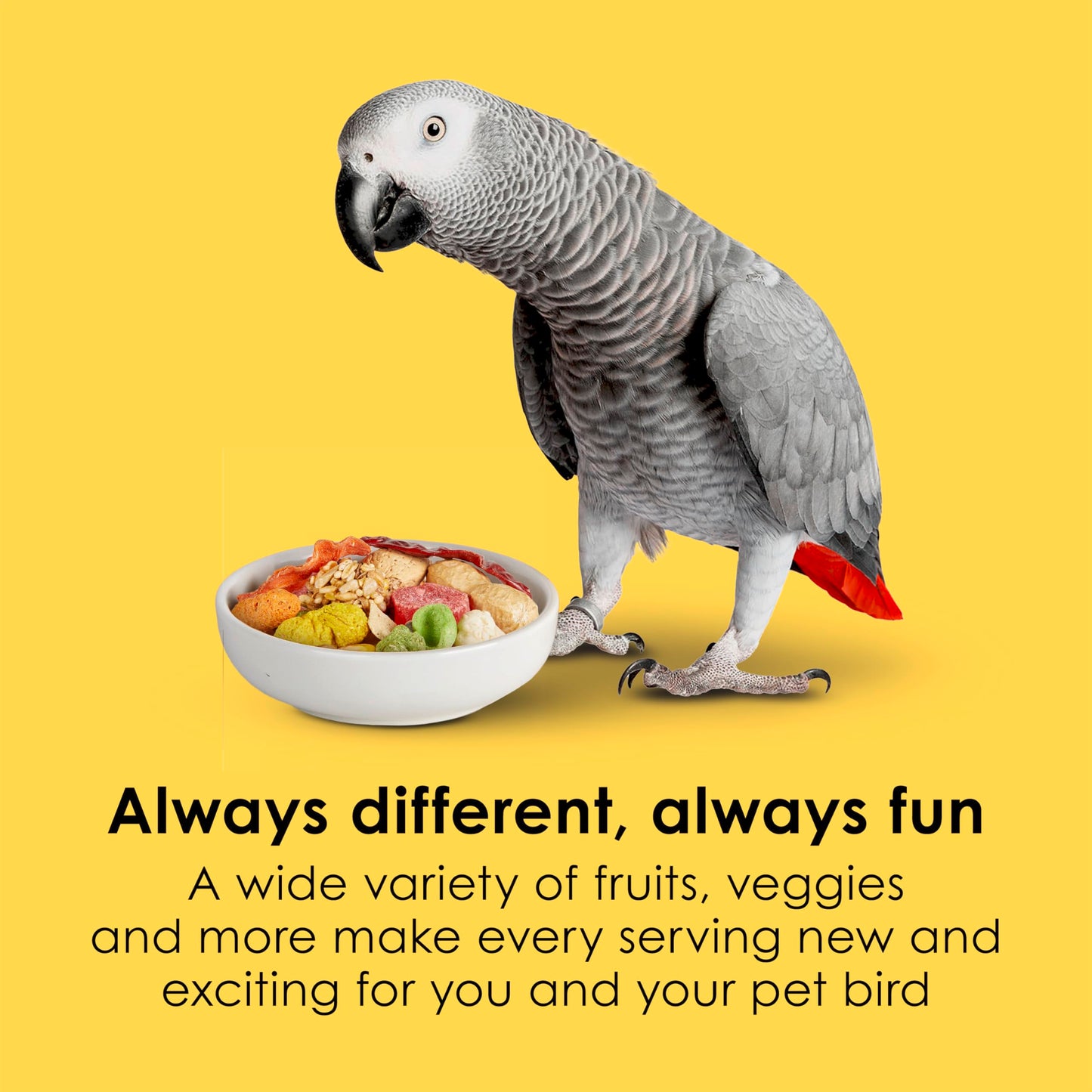 Kaytee Fiesta Parrot Food, Nutritious and Fun Blend, Supports Skin, Feather, Digestion, Brain and Heart Health, 4.5 pounds