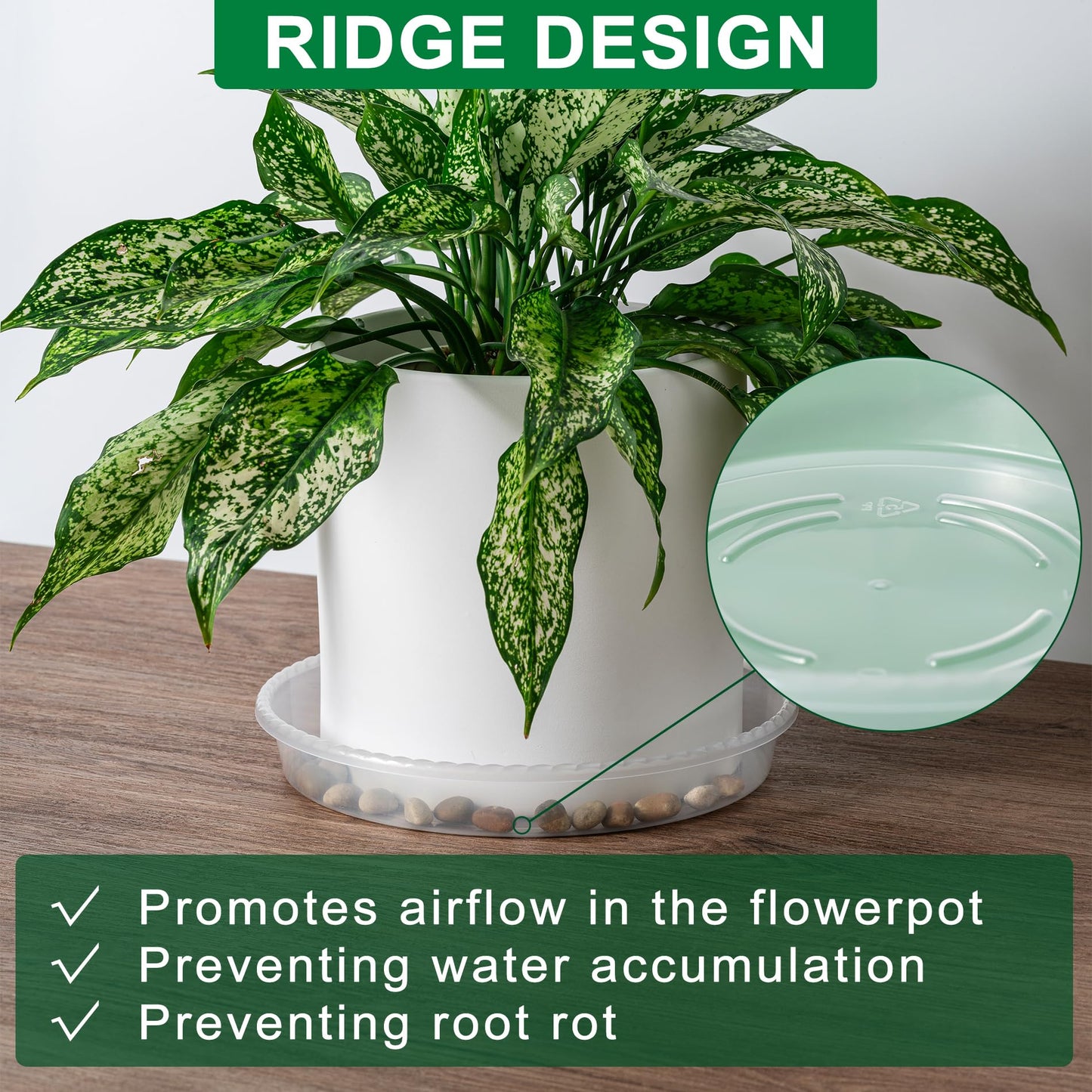 Plant Saucer Tray - 6 Pack 10 Inch Plastic Plant Trays for Pots with Plant Tray Design - Clear Plant Saucers for Outdoors and Indoors Use - Plant Pot Saucers for Potted Plants - Plant Drip Trays