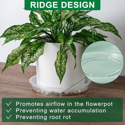 Plant Saucer Tray - 6 Pack 10 Inch Plastic Plant Trays for Pots with Plant Tray Design - Clear Plant Saucers for Outdoors and Indoors Use - Plant Pot Saucers for Potted Plants - Plant Drip Trays
