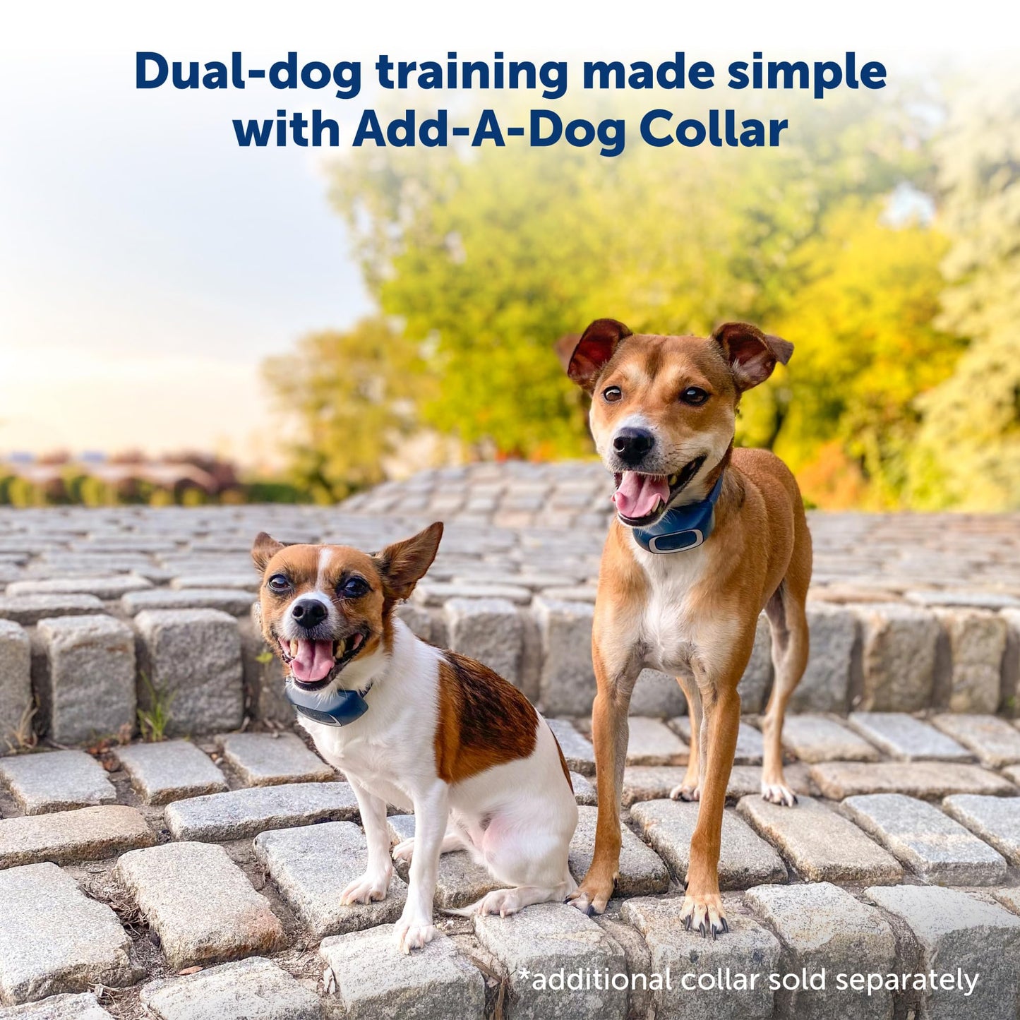 PetSafe 300 Yard Remote Training Collar – Choose from Tone, Vibration, or 15 Levels of Static Stimulation – Medium Range Option for Training Off Leash Dogs – Waterproof and Durable – Rechargeable