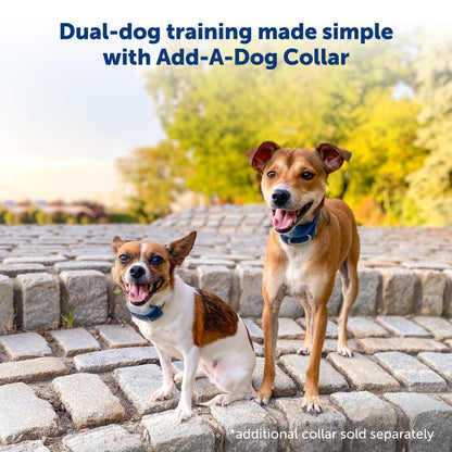 PetSafe 300 Yard Remote Training Collar – Choose from Tone, Vibration, or 15 Levels of Static Stimulation – Medium Range Option for Training Off Leash Dogs – Waterproof and Durable – Rechargeable