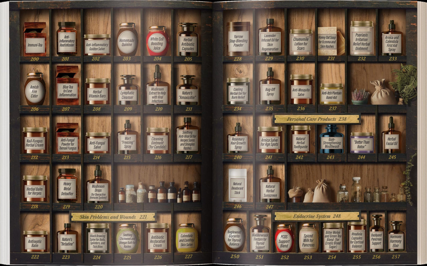 Forgotten Home Apothecary : 250 Powerful Remedies at Your Fingertips