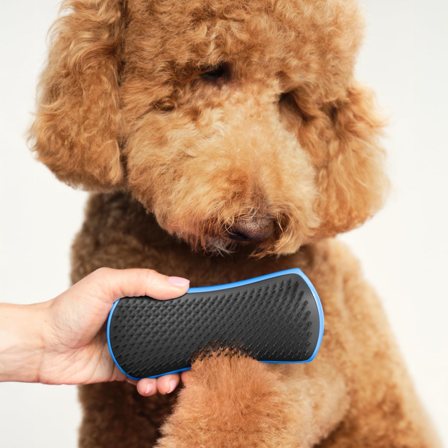 Pet Teezer Detangling Dog Grooming Brush, Dog Bath Brush for Long Haired Breeds and Wet or Dry Fur, Large, Blue & Grey