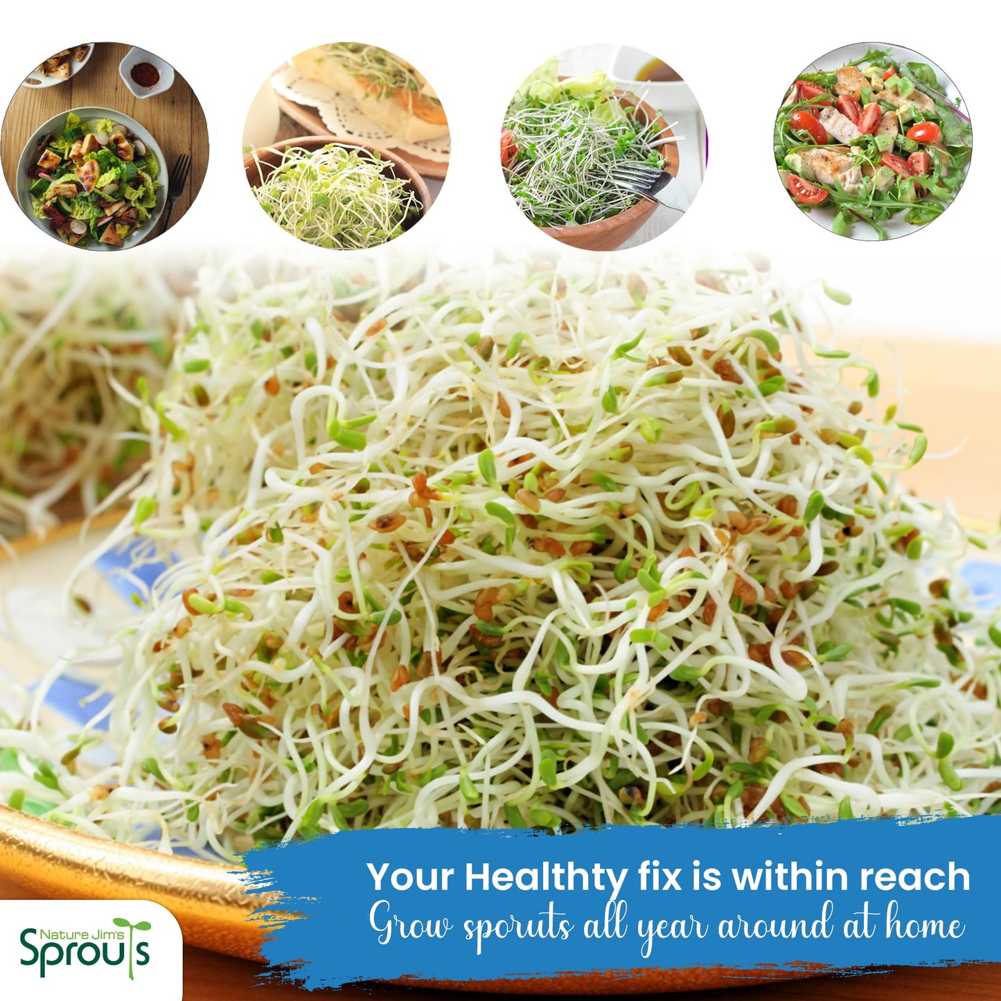 Nature Jims Sprouts alfalfa Seeds – 16 Oz Organic Sprouting Seeds – Non-GMO Premium Alfalfa Seeds – Resealable Bag for Longer Freshness – Rich in Vitamins, Minerals, Fiber