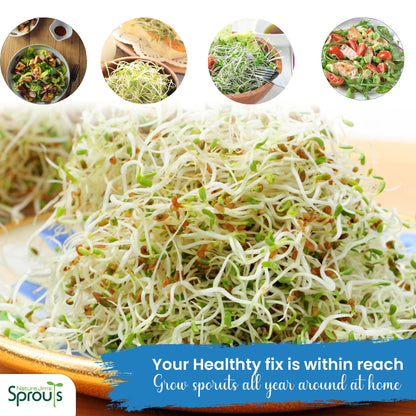 Nature Jims Sprouts alfalfa Seeds – 16 Oz Organic Sprouting Seeds – Non-GMO Premium Alfalfa Seeds – Resealable Bag for Longer Freshness – Rich in Vitamins, Minerals, Fiber