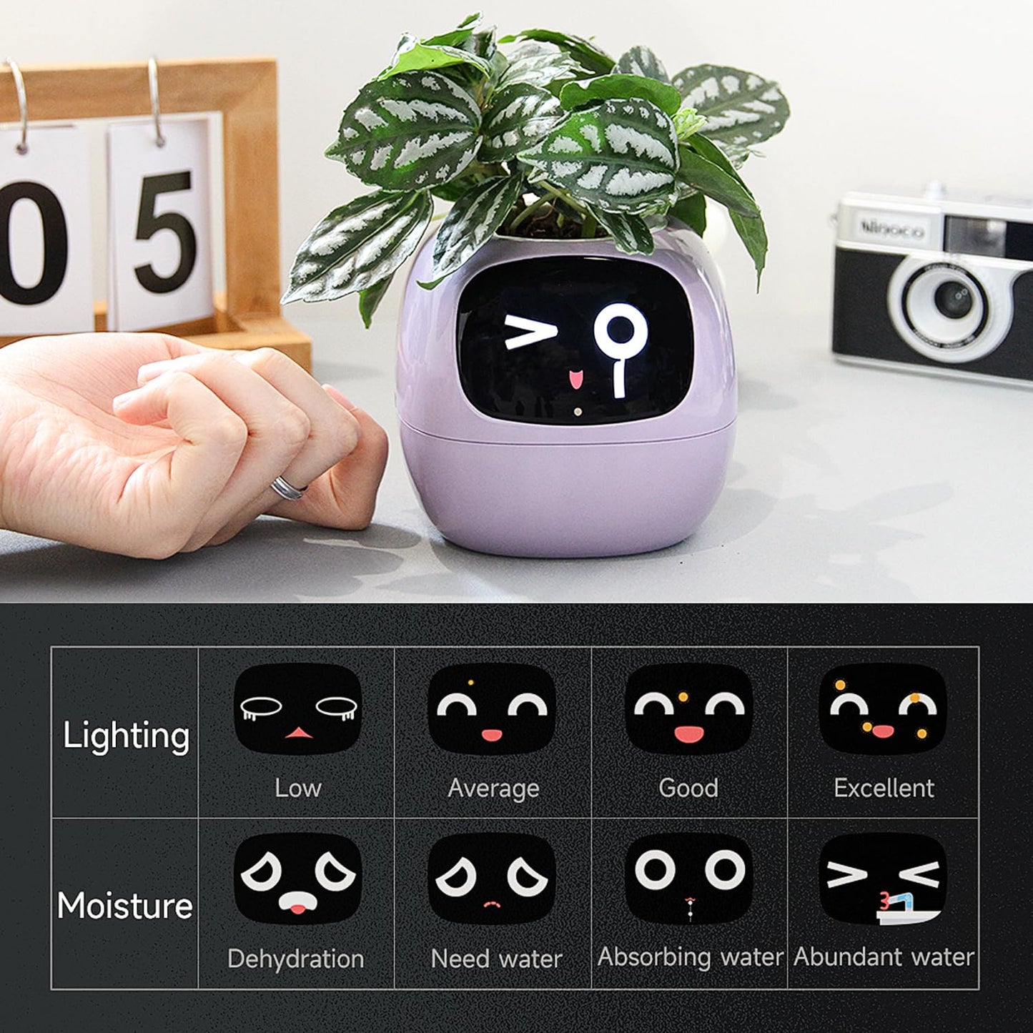 Masdio Smart Flowerpots, with Artificial Intelligence, Time Temperature Display, and Numerous Expressive Animations Based On The Environment, for Indoor Decoration, Gifts(White)