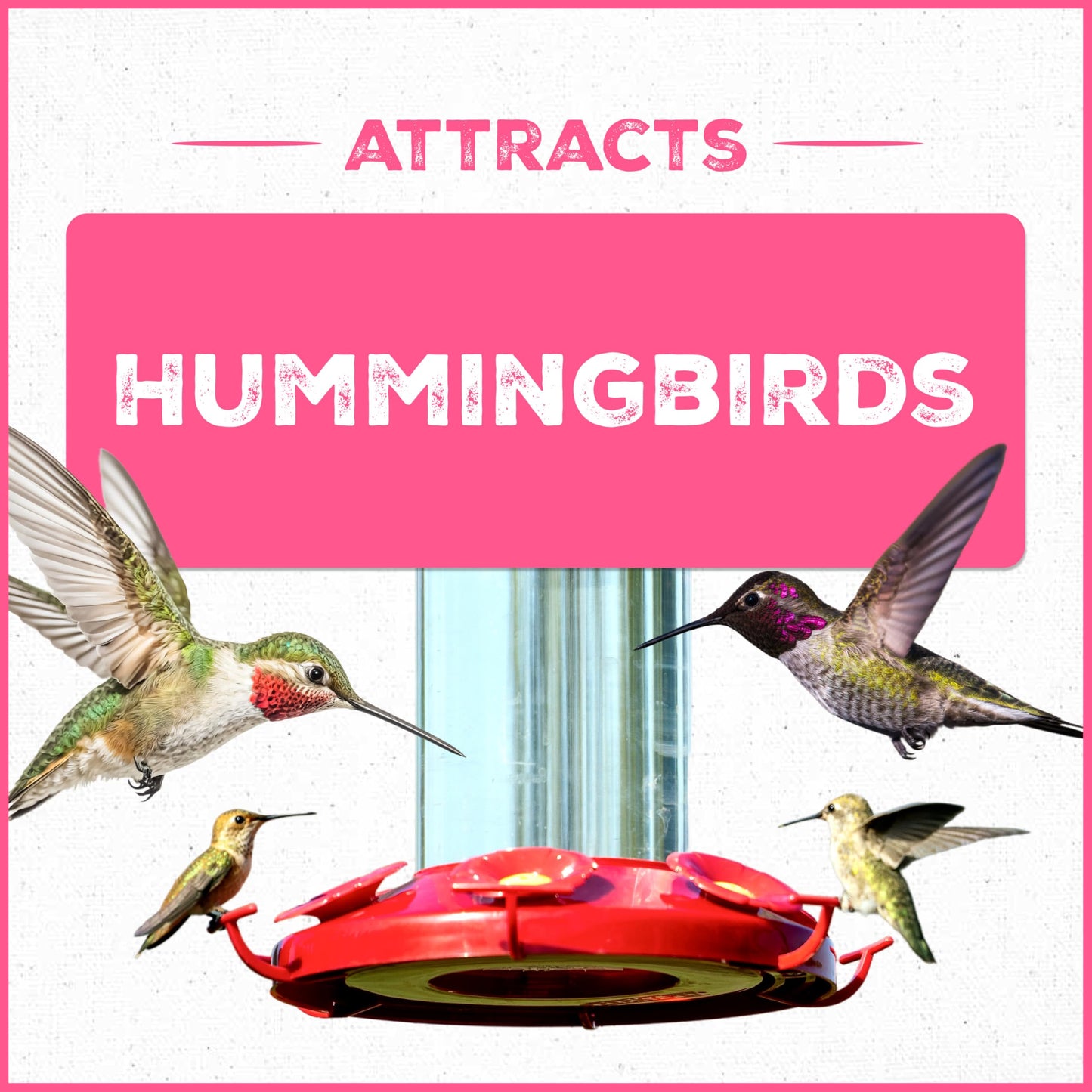 Pennington 100543828 ElectroNectar Hummingbird Food Ready to Use, Clear